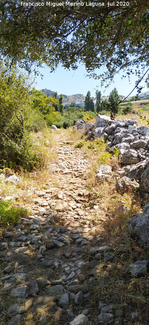 Calzada de Benaocaz a Ubrique - Calzada de Benaocaz a Ubrique. 