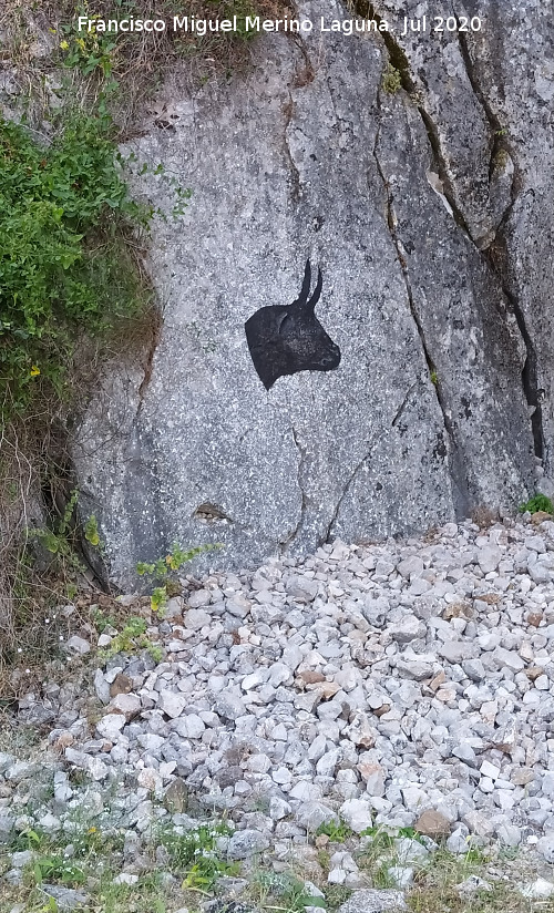 Grafiti de Cabeza de Toro - Grafiti de Cabeza de Toro. 