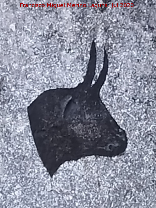 Grafiti de Cabeza de Toro - Grafiti de Cabeza de Toro. 