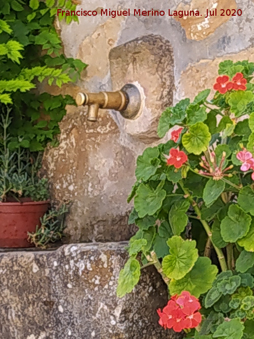 Fuente de Santa Clara - Fuente de Santa Clara. Grifo