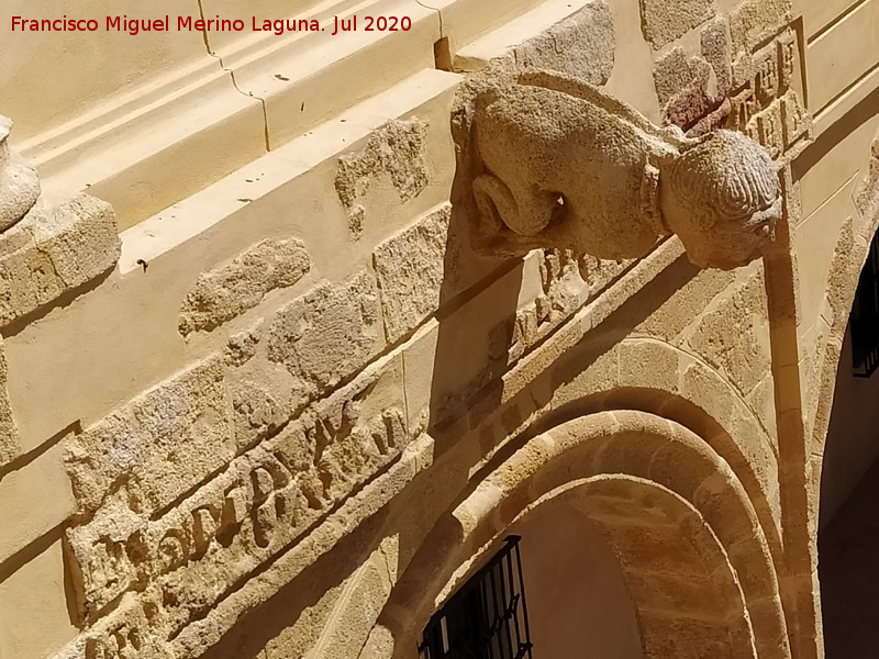 Castillo Palacio de los Ribera - Castillo Palacio de los Ribera. Restos de inscripci�n y g�rgola