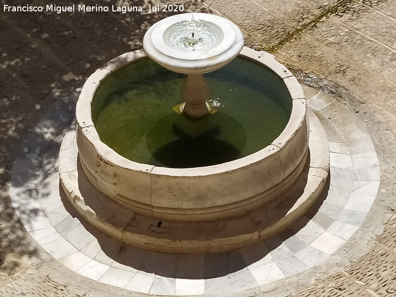 Castillo Palacio de los Ribera - Castillo Palacio de los Ribera. Fuente