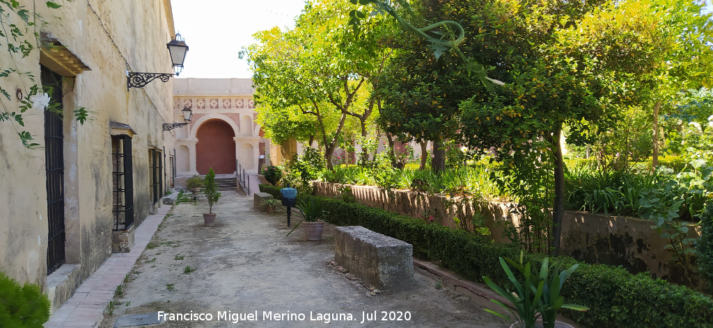 Castillo Palacio de los Ribera - Castillo Palacio de los Ribera. Jard�n Alto