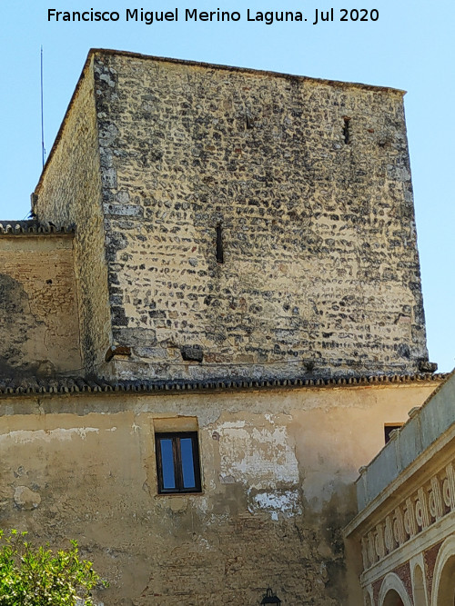Castillo Palacio de los Ribera - Castillo Palacio de los Ribera. Torre del Homenaje