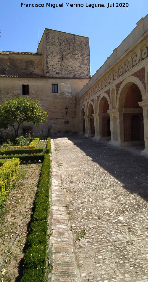 Castillo Palacio de los Ribera - Castillo Palacio de los Ribera. 