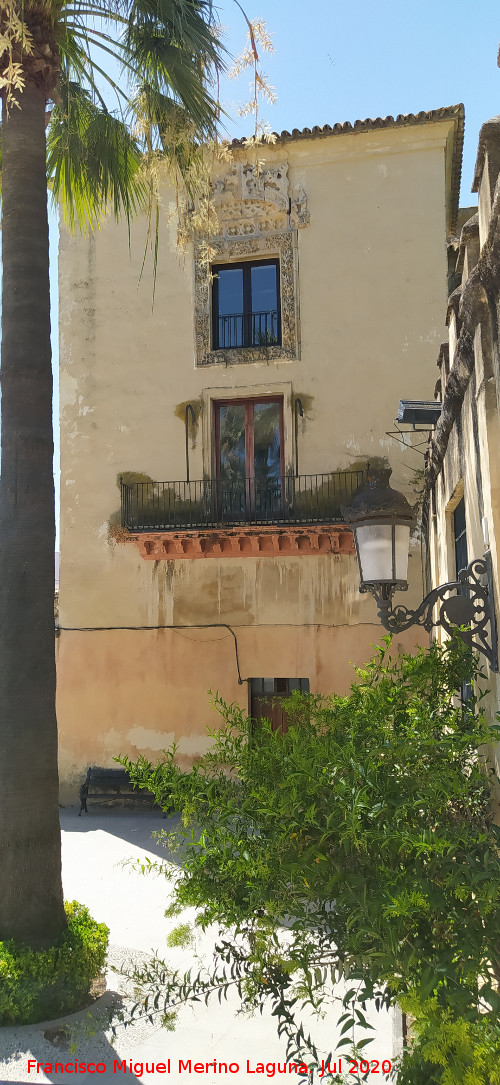 Castillo Palacio de los Ribera - Castillo Palacio de los Ribera. 