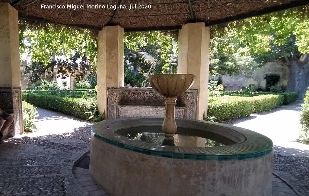 Castillo Palacio de los Ribera - Castillo Palacio de los Ribera. Merendero