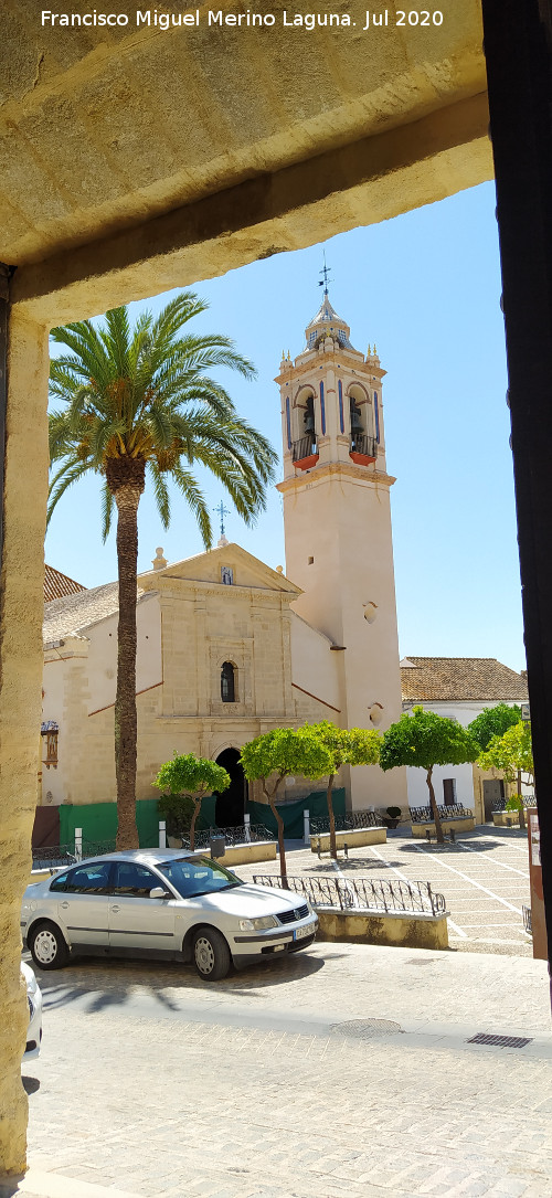 Iglesia de Santo Domingo de Guzm�n - Iglesia de Santo Domingo de Guzm�n. Desde el Castillo Palacio de los Ribera