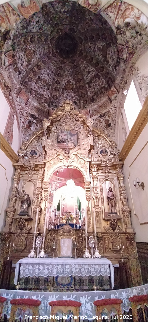 Iglesia de Santo Domingo de Guzm�n - Iglesia de Santo Domingo de Guzm�n. Capilla del Sagrario