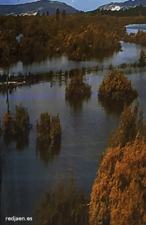 Paraje natural Cola del Embalse de Bornos - Paraje natural Cola del Embalse de Bornos. Cartel
