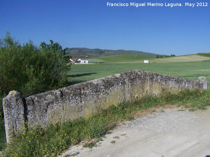 Puente del Guadalcotn - Puente del Guadalcotn. Parapeto