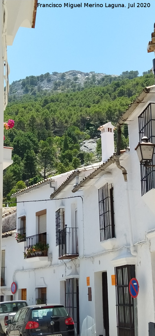 Calle Jos� Mar�a Jim�nez - Calle Jos� Mar�a Jim�nez. 