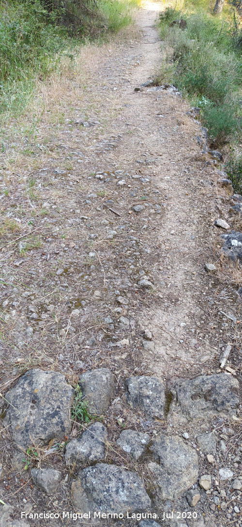 Ca�ada de la Magdalena - Ca�ada de la Magdalena. 