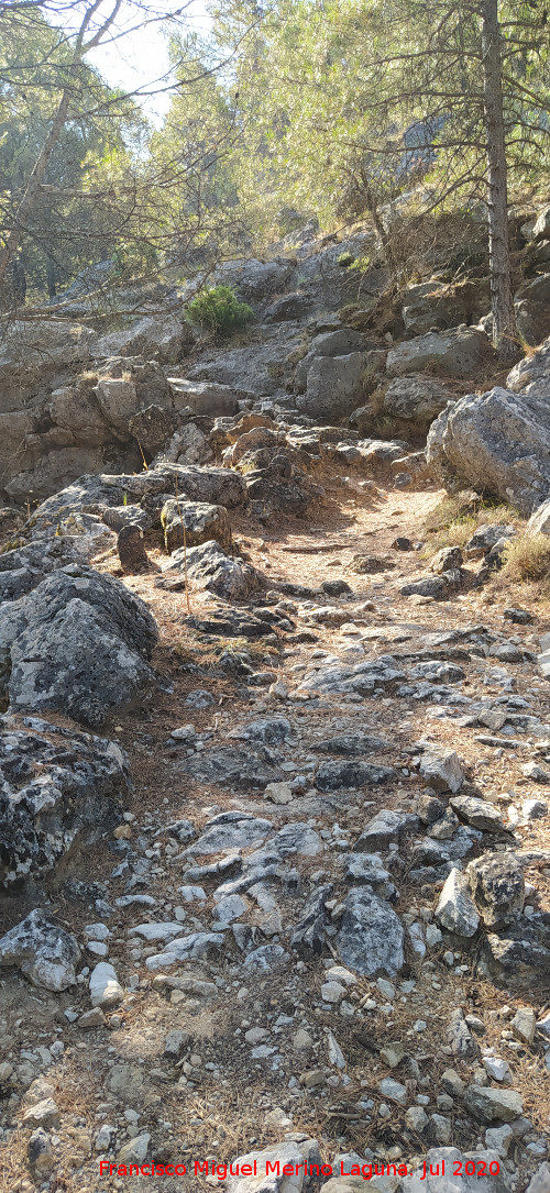 Camino Alto de la Quebrada - Camino Alto de la Quebrada. 