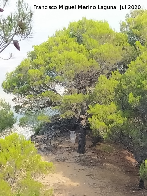 Moj�n de la Quebrada - Moj�n de la Quebrada. 