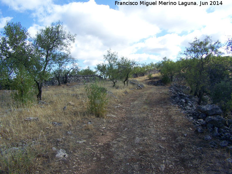 La Colonia - La Colonia. Vallas de piedra