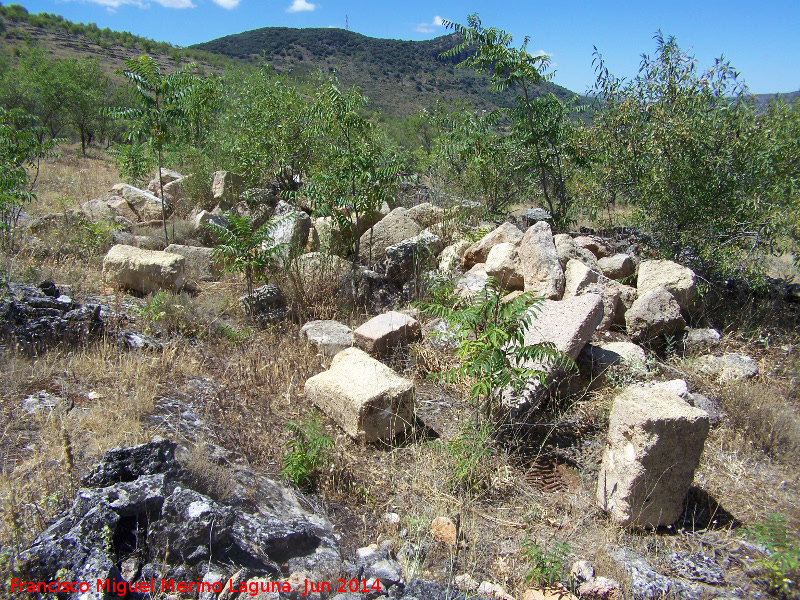 La Colonia - La Colonia. Sillera