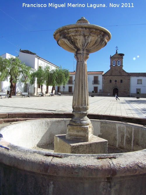 Fuente Taza - Fuente Taza. 