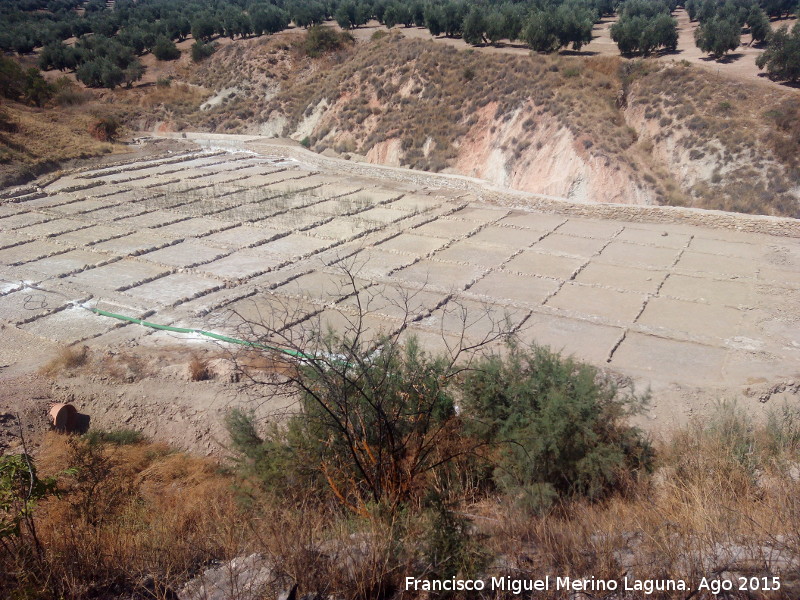 Salinas de Las Escuelas - Salinas de Las Escuelas. 