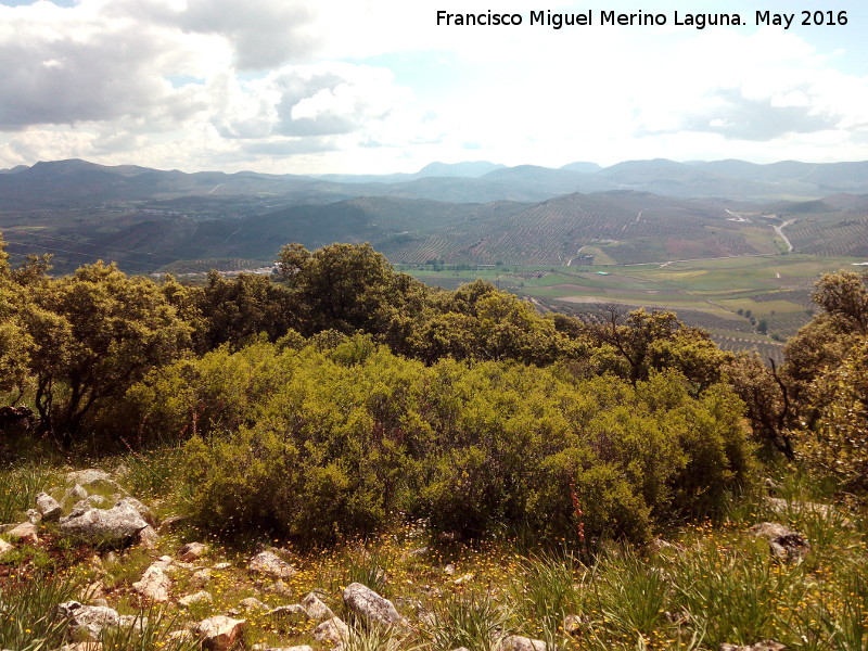 Cerro del Camello - Cerro del Camello. Vistas