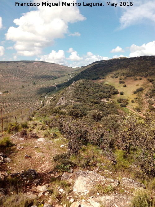 Cerro del Camello - Cerro del Camello. Hacia la Piedra de la Virgen del Camello