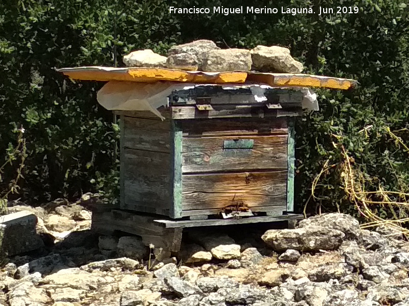 Abeja - Abeja. Antigua colmena. Boca de Charilla - Alcal la Real