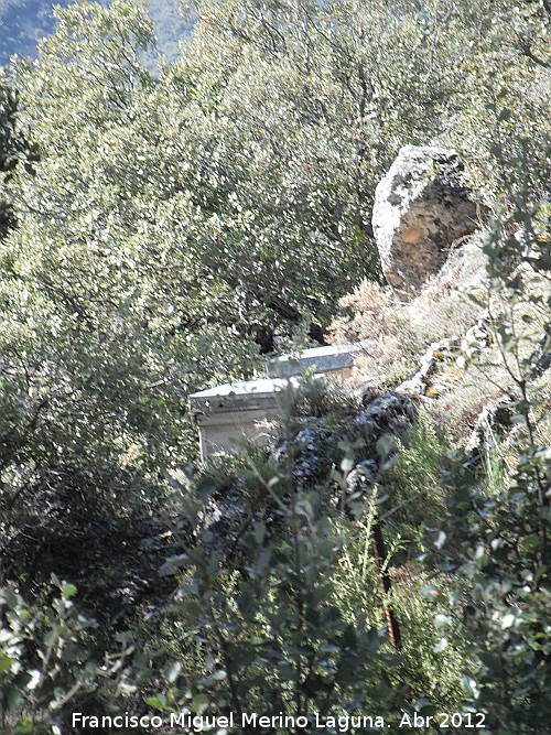 Abeja - Abeja. Colmenas. Cerezo Gordo - Valdepeas de Jan