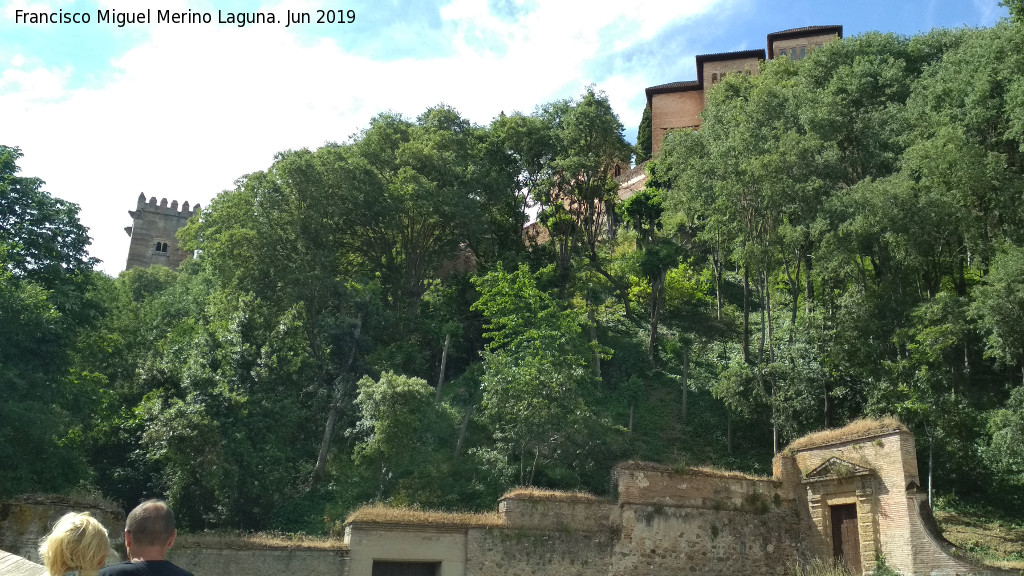 Alhambra - Alhambra. Desde la Cuesta del Rey Chico