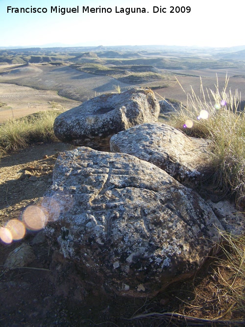 Petroglifos de Alicn de las Torres - Petroglifos de Alicn de las Torres. Bolos granticos donde estn los petroglifos