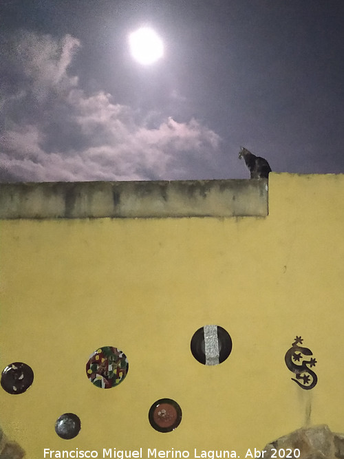 Gato - Gato. Superluna durante el confinamiento. Los Villares