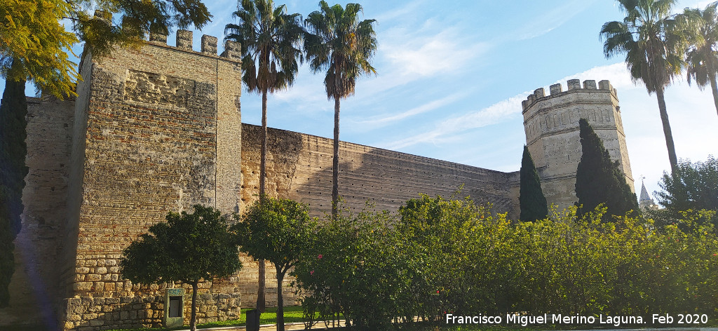 Alc�zar de Jerez - Alc�zar de Jerez. 