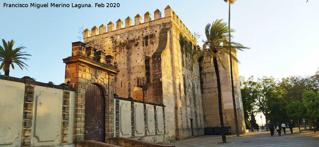 Alc�zar de Jerez - Alc�zar de Jerez. 