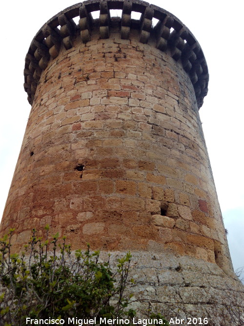 Torren de la Moraleja - Torren de la Moraleja. 