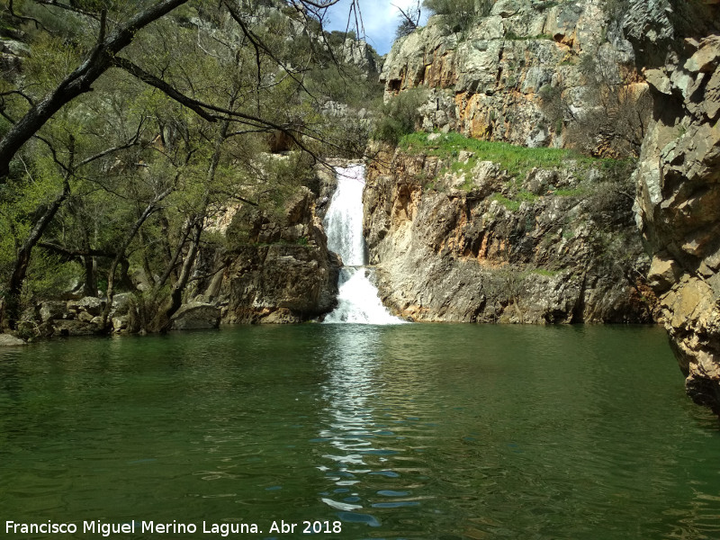 Charco del Negrillo - Charco del Negrillo. 