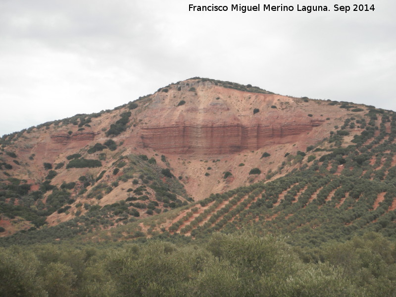 Loma de los Donceles - Loma de los Donceles. 