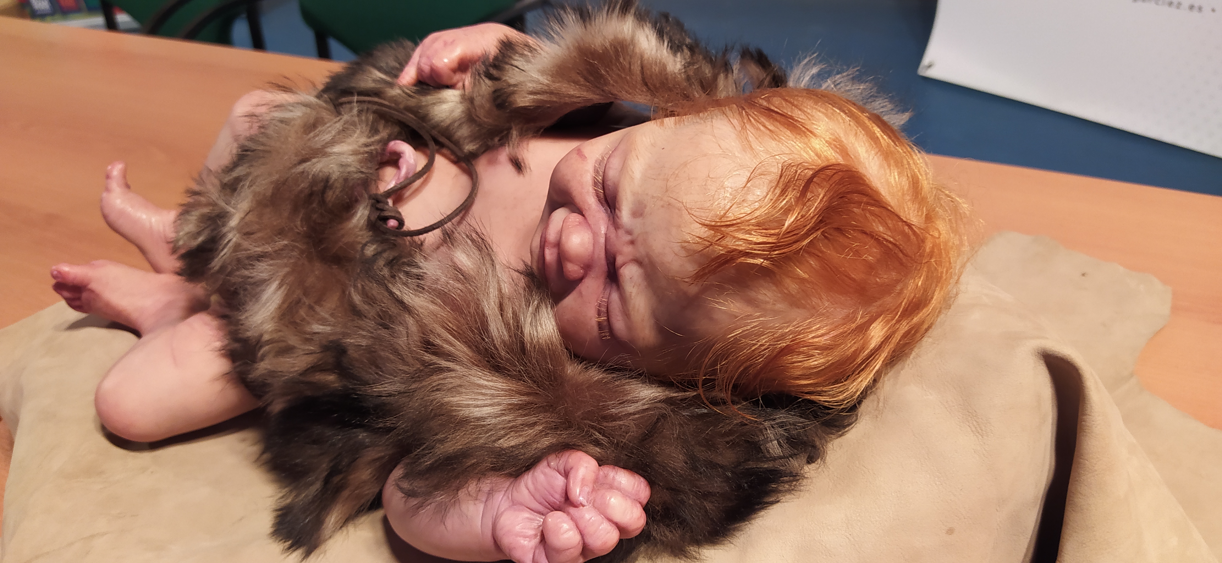 Homo neanderthalensis - Homo neanderthalensis. Beb� neandertal. Paleom�gina - Bedmar