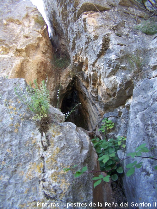 Pinturas rupestres de la Pea del Gorrin V - Pinturas rupestres de la Pea del Gorrin V. Cueva