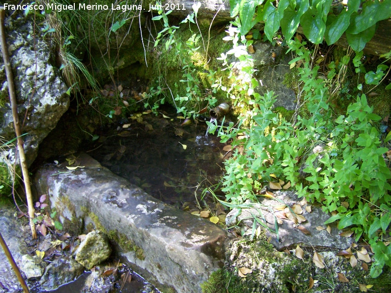 Fuente del Obispo - Fuente del Obispo. 