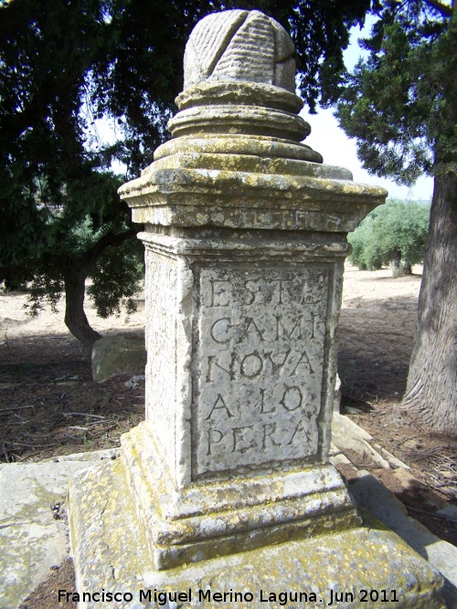 Cruz de Mendoza - Cruz de Mendoza. Inscripcin