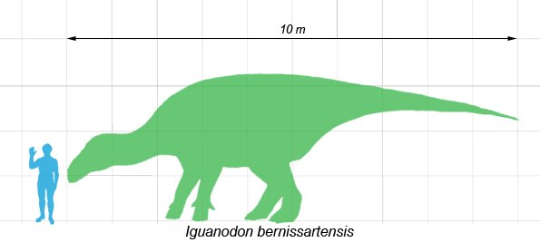 Iguanodn - Iguanodn. Comparacin con el hombre. Wikipedia