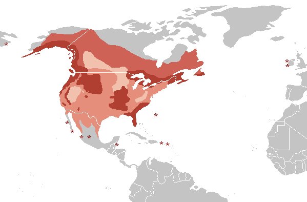 Pjaro guila calva - Pjaro guila calva. Mapa. Wikipedia