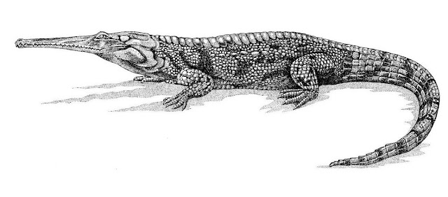 Cocodrilo Steneosaurus - Cocodrilo Steneosaurus. 