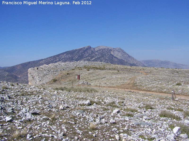 Llano de Mingo - Llano de Mingo. 