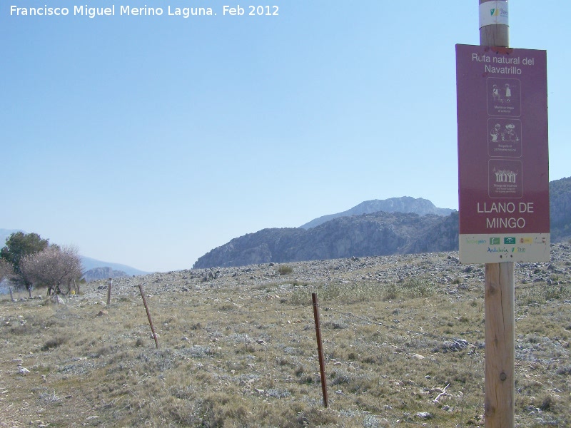 Llano de Mingo - Llano de Mingo. 