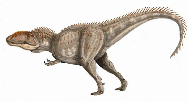 Giganotosaurio - Giganotosaurio. 