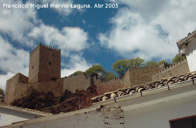 Castillo de la Yedra - Castillo de la Yedra. Murallas del segundo recinto hasta el Alcazar