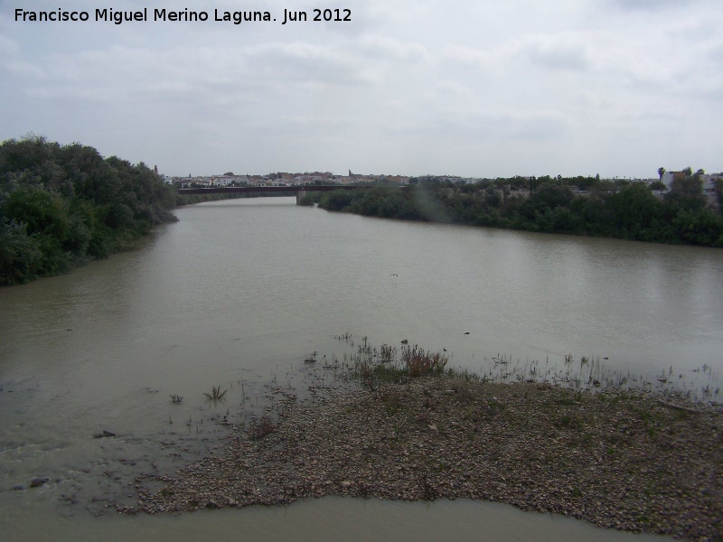 Ro Guadalquivir - Ro Guadalquivir. A su paso por Crdoba