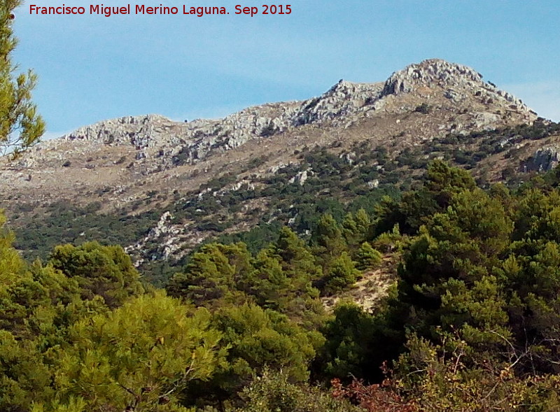 Cerro Grajales - Cerro Grajales. 