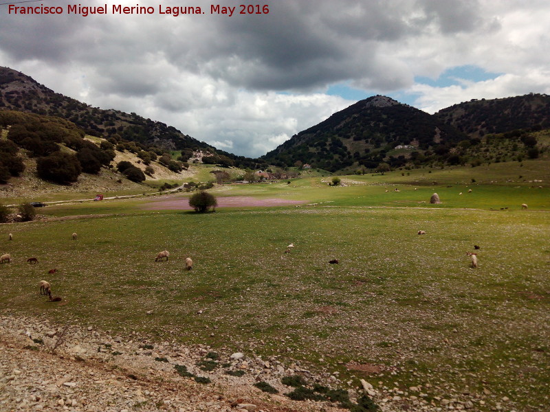 Llano de ngel - Llano de ngel. 