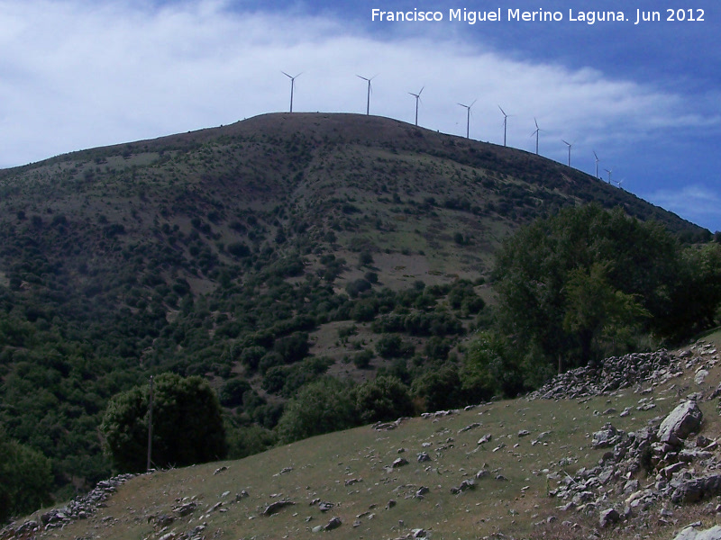 Cerro Paredn - Cerro Paredn. Vertiente norte